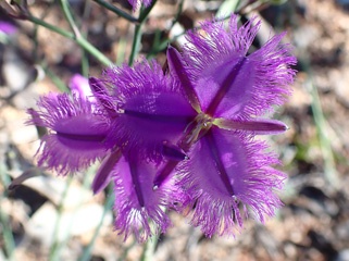 PB291718a.jpg